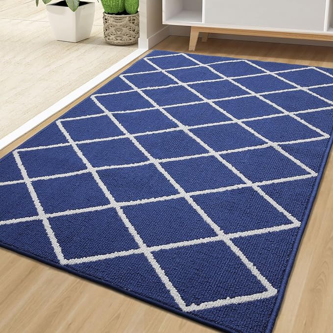 Finchitty Large Indoor Door Mat, Non-Slip Absorbent Resist Dirt Entrance Mat - Image 6