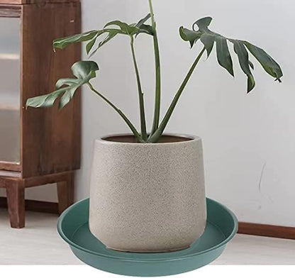 6 Pack of 10 inch Plant Saucer Bird Bath Bowl, Heavy Duty Plastic Plant Saucer - Image 7