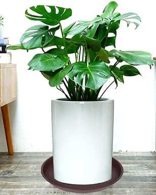 6 Pack of 10 inch Plant Saucer, Heavy Duty Plastic Plant Saucer 10 inch Round - Image 4
