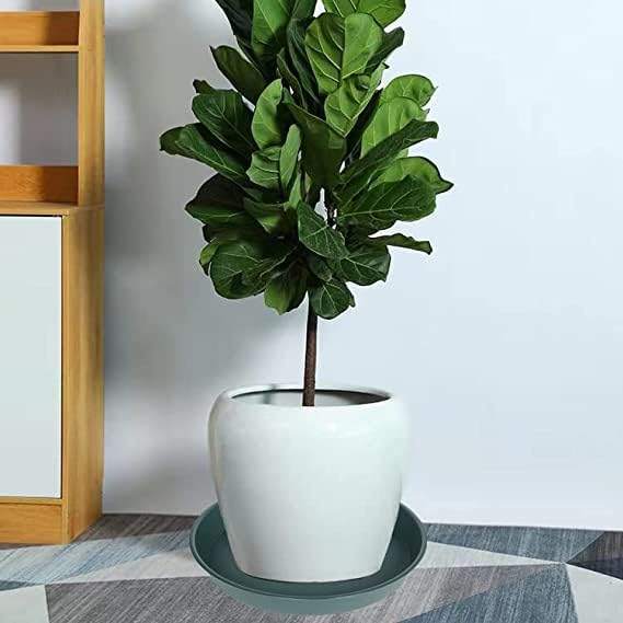 2 Pack of 8 inch Plant Saucer Clear, Heavy Duty Plastic Plant Water Tray 8 inch - Image 4