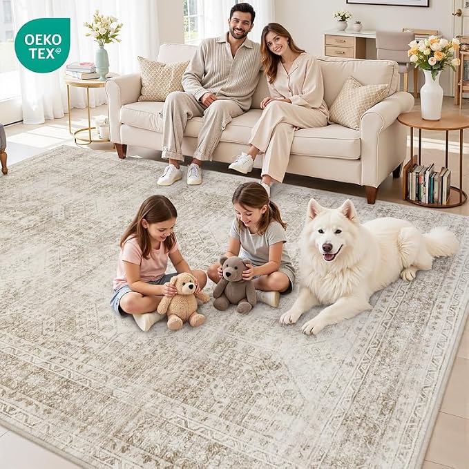 6x9 Area Rugs for Living Room: Vintage Boho Neutral Washable Rug Indoor Soft - Image 8