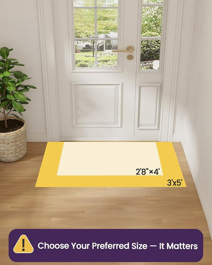 DEXI Ultra Thin Entryway Door Mat 36x56, Non Slip Rubber Backing Inside Entry - Image 2