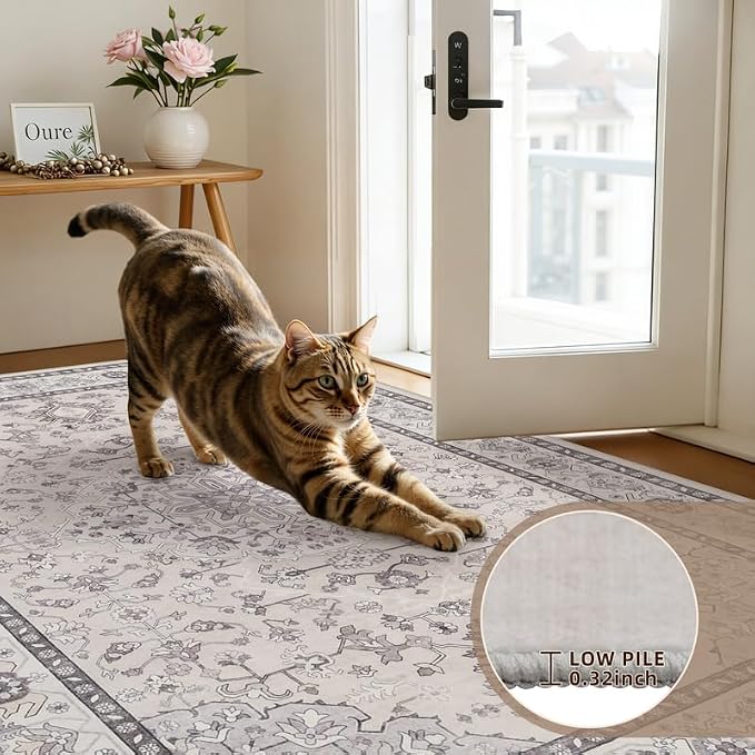 Area Rugs 9x12 Living Room: Vintage Boho Neutral Washable Rug Indoor Soft Large - Image 9