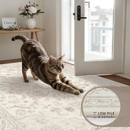 Round Area Rug for Living Room: 8ft Vintage Boho Neutral Washable Circle Rug - Image 6