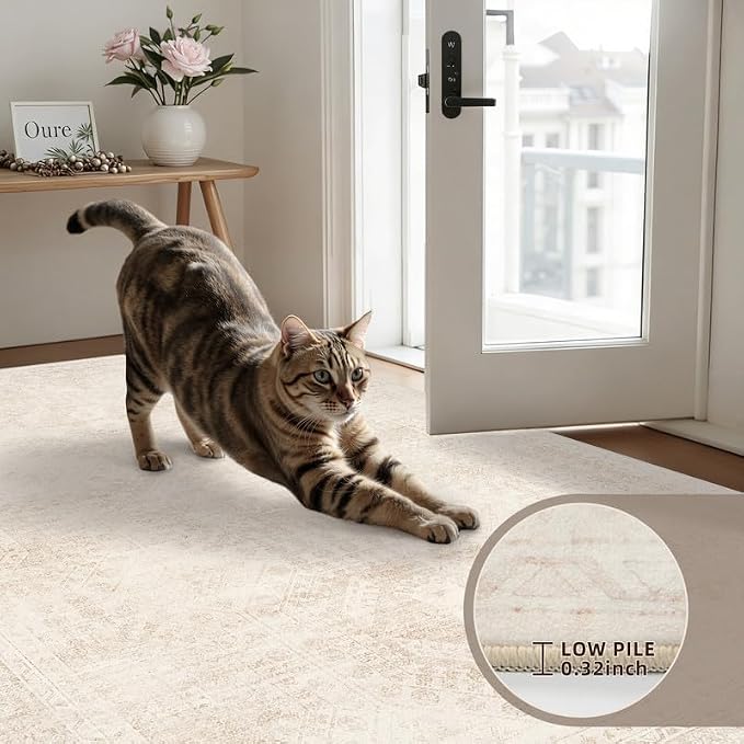 Round Area Rug for Living Room: 8ft Vintage Boho Neutral Washable Circle Rug - Image 6