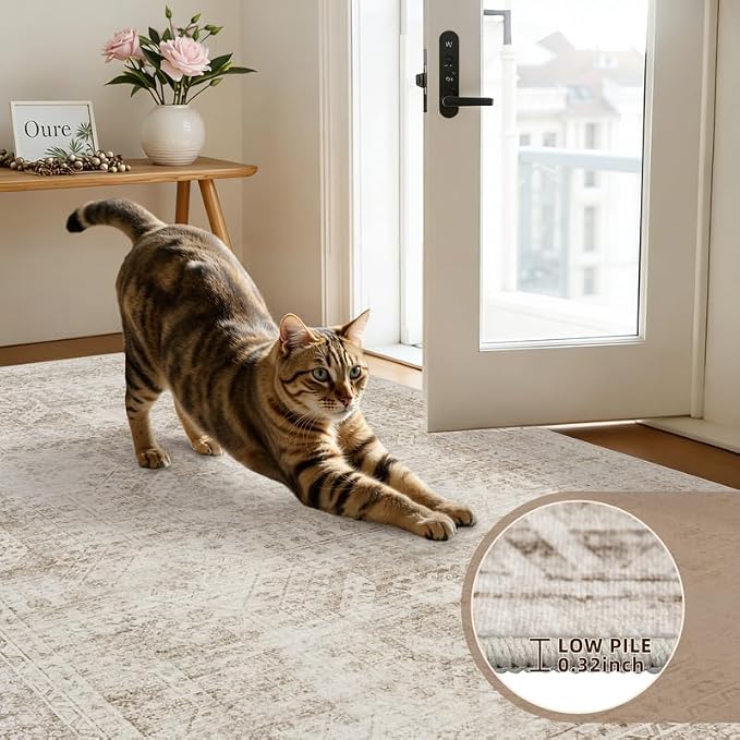 Round Area Rug for Living Room: 6ft Vintage Boho Neutral Washable Circle Rug - Image 6