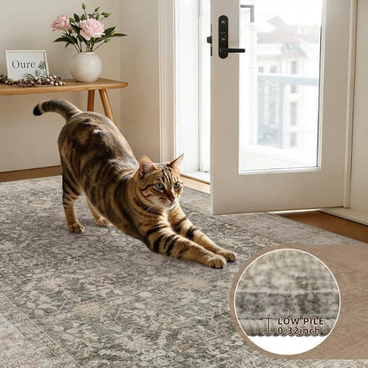 5x7 Area Rugs for Living Room: Vintage Boho Neutral Washable Rug Indoor Soft - Image 7