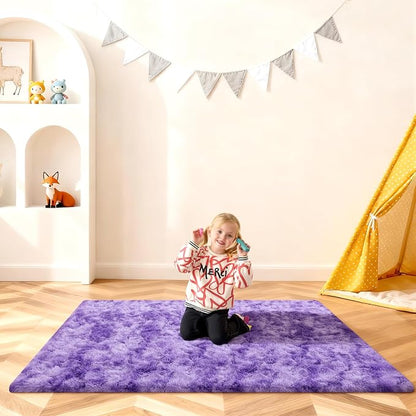 4x6 Rugs for Bedroom, Fluffy Area Rugs for Living Room, Small Fuzzy Shag Soft by Unknown