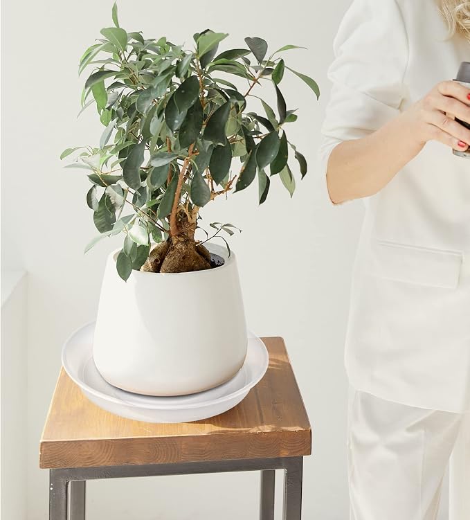 6 Pack of 8 inch Plant Saucer Clear, Heavy Duty Plastic Plant Water Tray 8 inch - Image 3