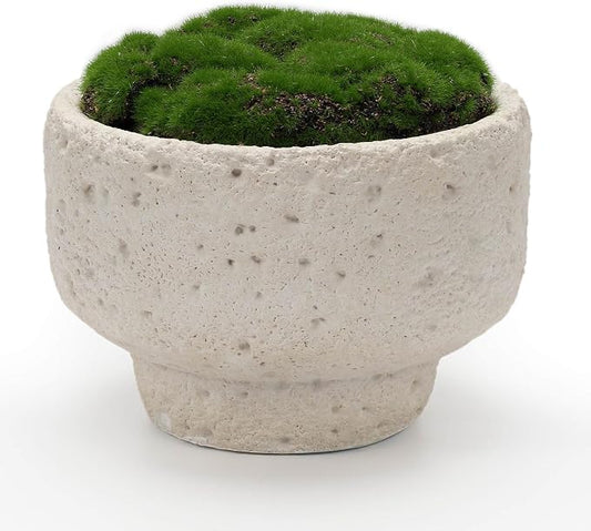 NAHARO New Moss Bowl, 6.5''Handmade Cement Bowl–Artificial Moss Centerpiece by NAHARO