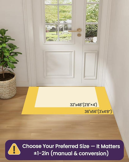 DEXI Ultra Thin Door Mat Indoor Entrance 35x56, Non Slip Rubber Backed Entryway - Image 2