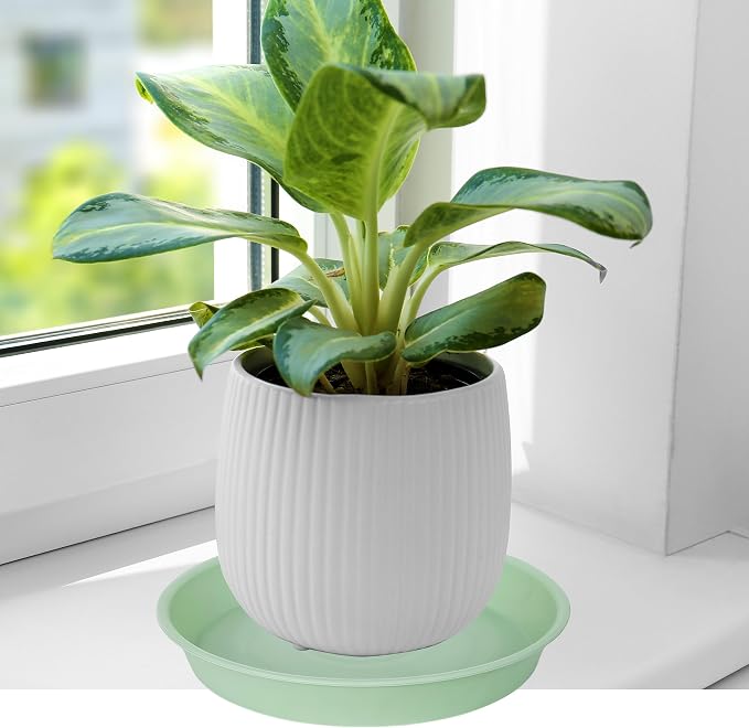 6 Pack of 12 inch Plant Saucer, Heavy Duty Plastic Plant Saucer 12" Round - Image 4