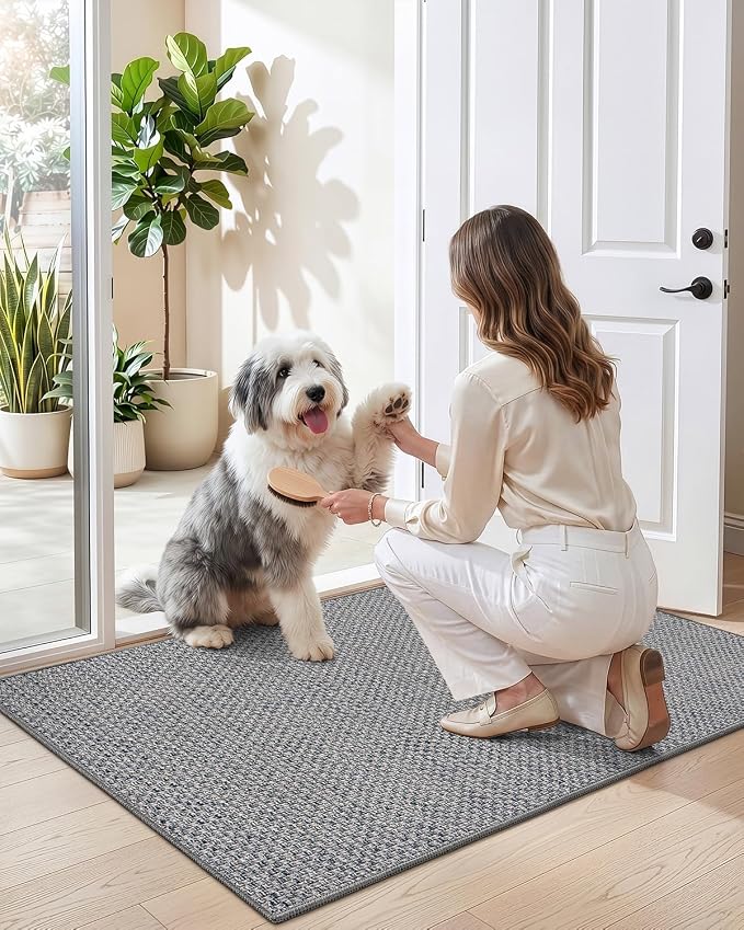 DEXI Ultra Thin Door Mat Indoor Entrance 48x72, Non Slip Rubber Backed Entryway - Image 9