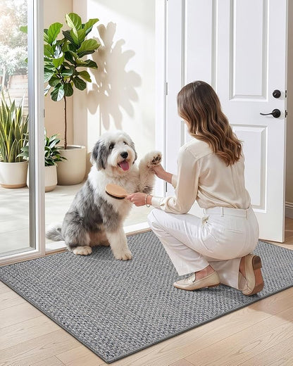 DEXI Ultra Thin Door Mat Indoor Entrance 48x72, Non Slip Rubber Backed Entryway - Image 9