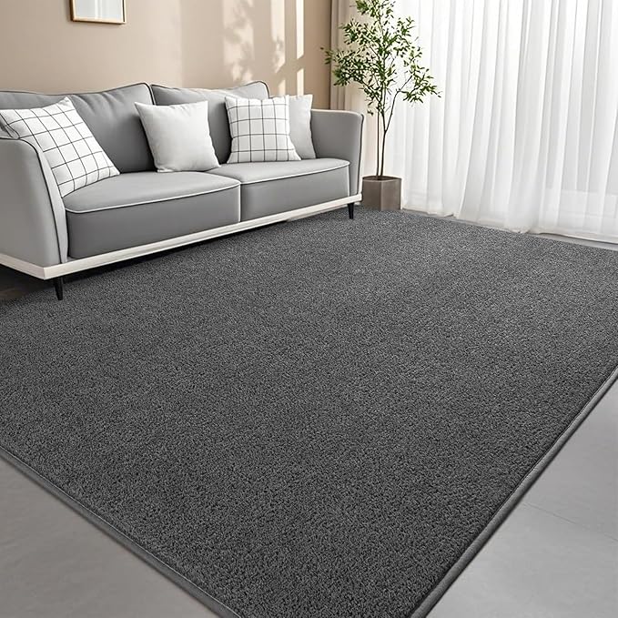 5x7 Feet Grey Area Rugs for Bedroom, Indoor Washable Memory Foam Rug for Living by Woottpe