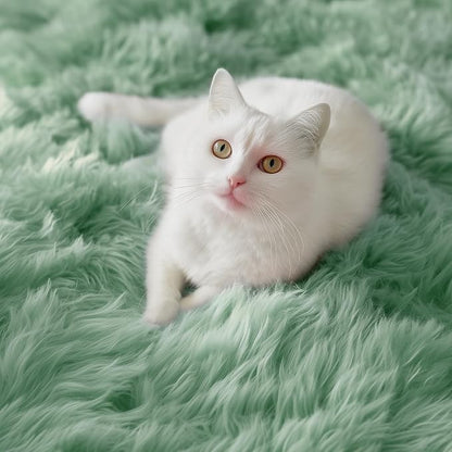 PAGISOFE Sage Green Rugs for Bedroom, 3x5 Ft Shaggy Rug Plush Fuzzy Carpet for - Image 6