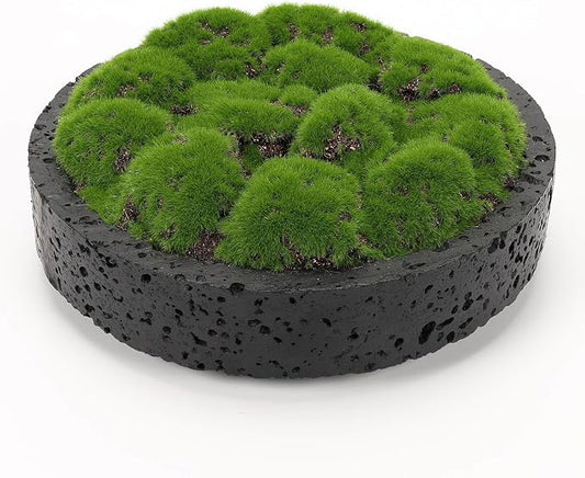 NAHARO New Moss Bowl, Living Room, or Coffee Table Display by NAHARO