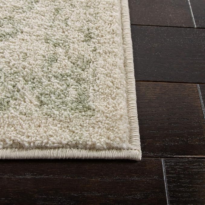 SAFAVIEH Adirondack Collection Runner Rug - Image 5