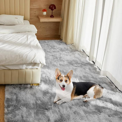 Ultra Soft Rug for Living Room, 3X5 Fluffy Shag Area Rug for Bedroom, Modern - Image 2