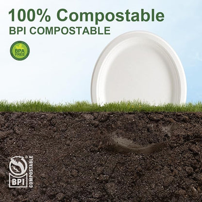 WELLIFE 100% Compostable Oval Paper Plates 12 Inch - Image 5
