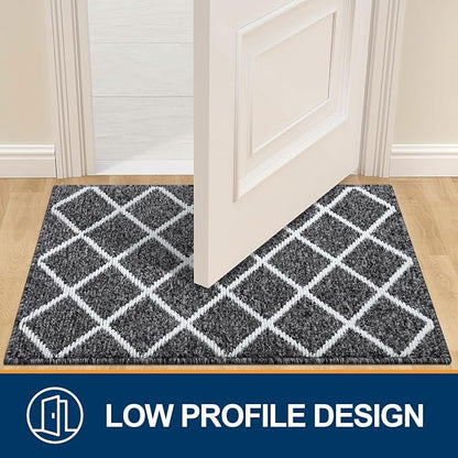 Finchitty Large Indoor Door Mat, Non-Slip Absorbent Resist Dirt Entrance Mat - Image 4