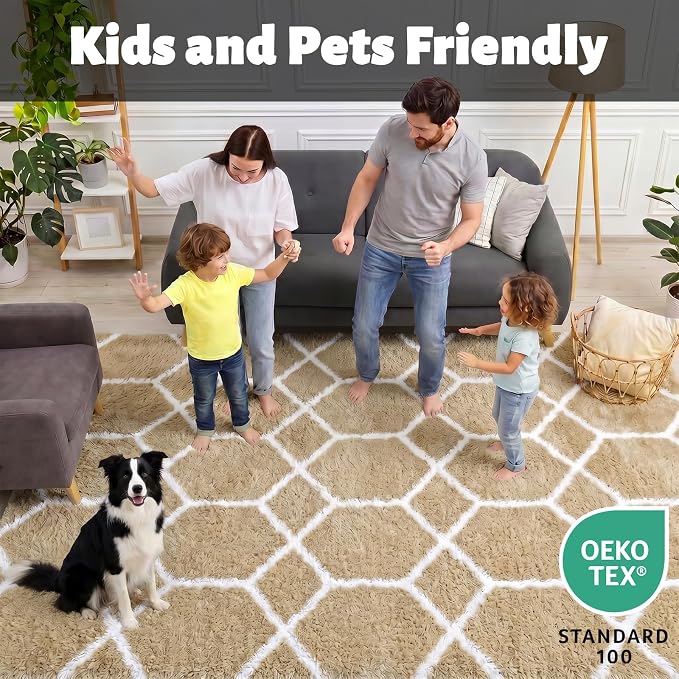 ONASAR Rugs for Living Room Bedroom, 5x8 Fluffy Beige and White Area Rug - Image 3