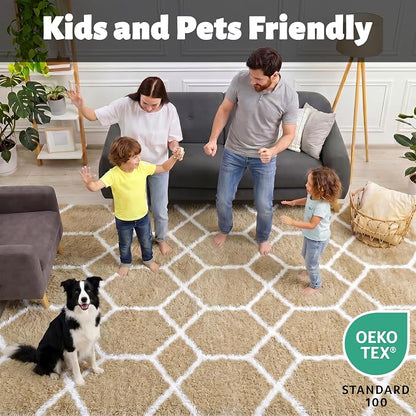 ONASAR Area Rugs for Bedroom Living Room, 4x6 Fluffy Beige and White Throw Rug - Image 3