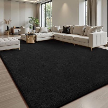 Sour Lemon 6x9 Area Rugs for Living Room, Soft Large Area Rug Fluffy Rugs for by SourLemon