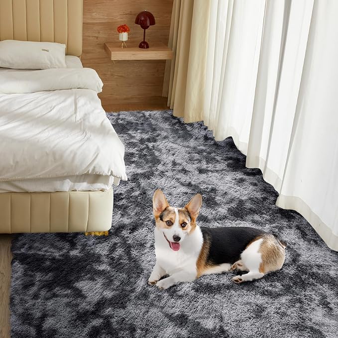 Ultra Soft Rug for Living Room, 6X9 Fluffy Shag Area Rug for Bedroom, Modern - Image 6