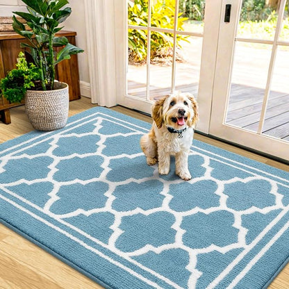 Buganda Indoor Door Mat, Dirt-Resistant and Absorbent Doormat, Low Profile by Buganda