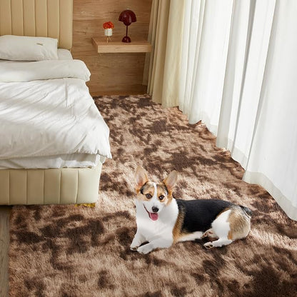 Ultra Soft Rug for Living Room, 3X5 Fluffy Shag Area Rug for Bedroom, Modern - Image 2