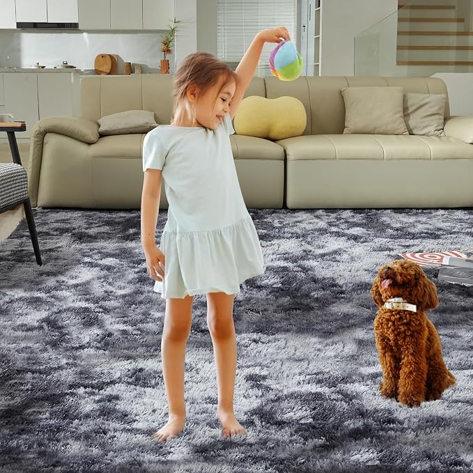 Ultra Soft Rug for Living Room, 4X6 Fluffy Shag Area Rug for Bedroom, Modern - Image 8