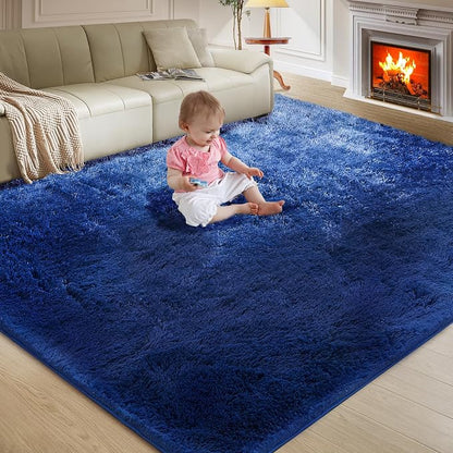 Ultra Soft Rug for Living Room, 5X8 Fluffy Shag Area Rug for Bedroom, Modern by Fairblink