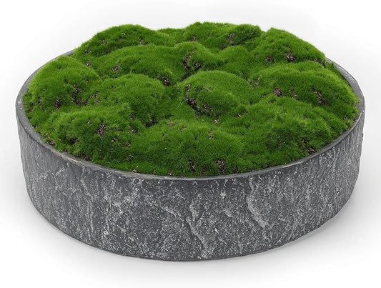 NAHARO New Moss Bowl, Living Room, or Coffee Table Display by NAHARO