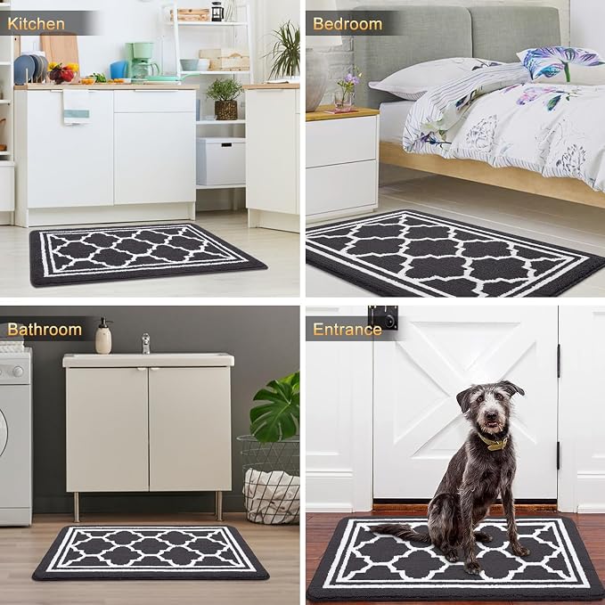 Buganda Indoor Door Mat, Dirt-Resistant and Absorbent Doormat, Low Profile - Image 6