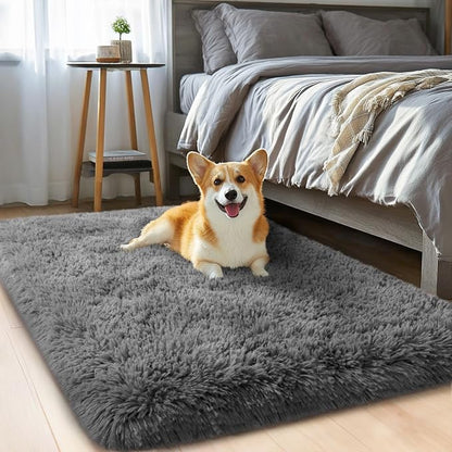 qulint 2x3 Rug for Bedroom, Soft Shag Dark Grey Besides Rug Fuzzy Shaggy Small by QULINT