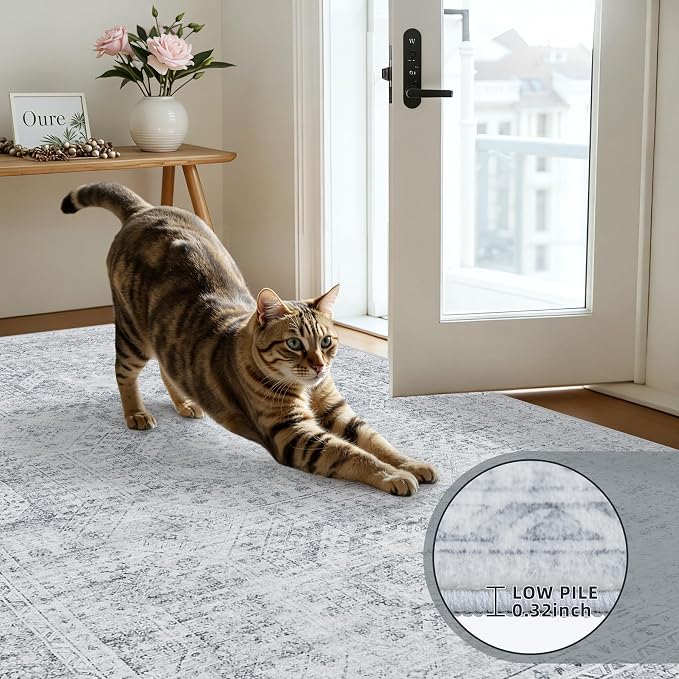 6x9 Area Rugs for Living Room: Vintage Boho Neutral Washable Rug Indoor Soft - Image 7