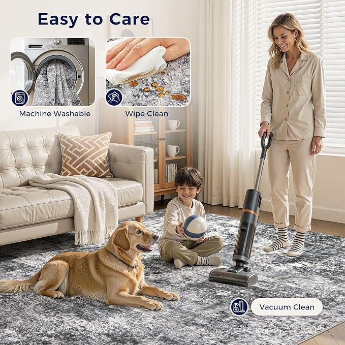 Area Rug Living Room Rugs - Image 4