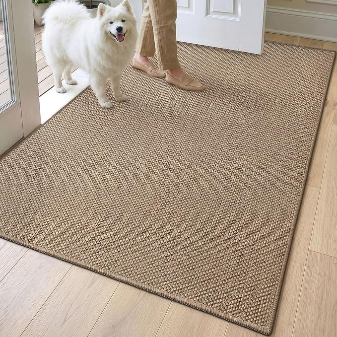 DEXI Ultra Thin Door Mat Indoor Entrance 32x48, Non Slip Rubber Backed Entryway by DEXI