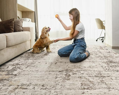 UERMEI 5x7 Area Rug Living Room Rugs - Image 4