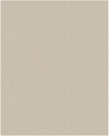 KOZYFLY Washable 4x5 Entry Woven Area Rug, Braided Throw Rugs - Image 9