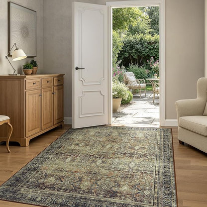 Lofus 4x6 Area Rug for Entryway, Washablee Soft Rugs for Bedroom, Living Room by Lofus