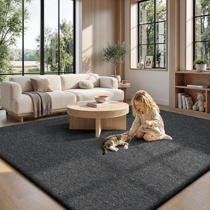 Sour Lemon 8x10 Area Rugs for Living Room, Soft Large Area Rug Fluffy Rugs for - Image 9