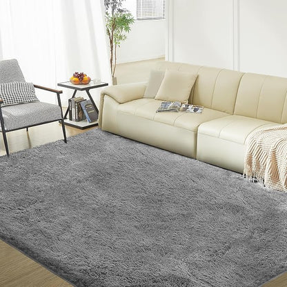 Ultra Soft Rug for Living Room, 4X6 Fluffy Shag Area Rug for Bedroom, Modern by Fairblink