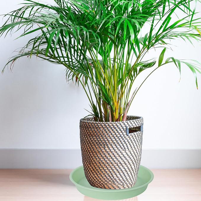 2 Pack of 8 inch Plant Saucer Clear, Heavy Duty Plastic Plant Water Tray 8 inch - Image 7